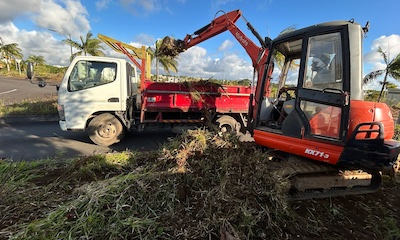 Cleaning & Landscaping (Phase 1 Completed)