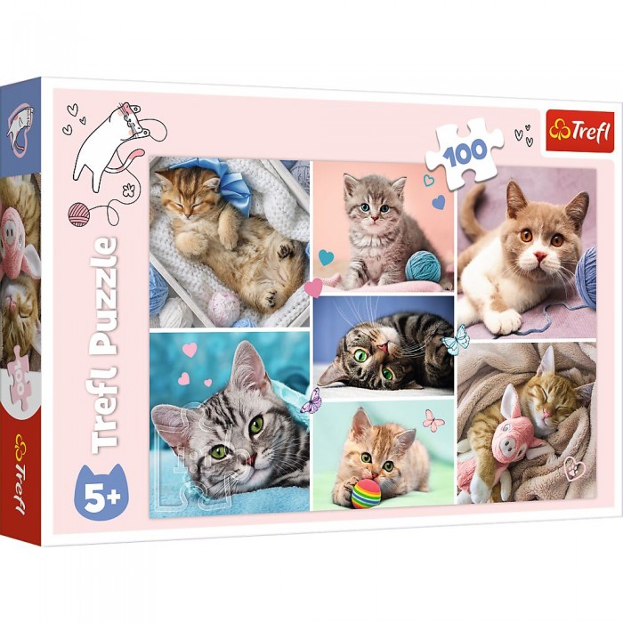 Puzzles 100 In the cat world 16420