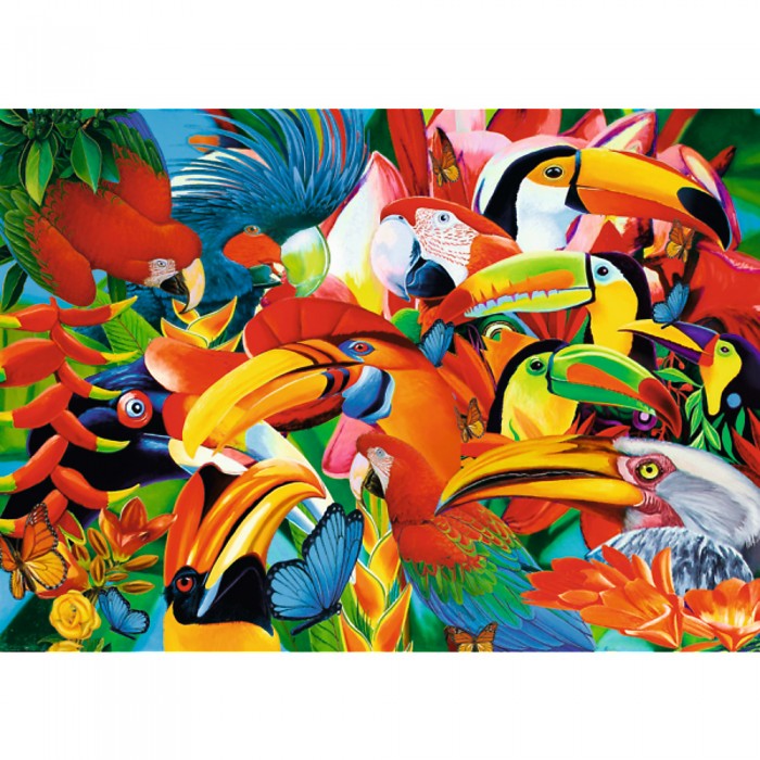 Puzzles 500 Colourful birds 37328