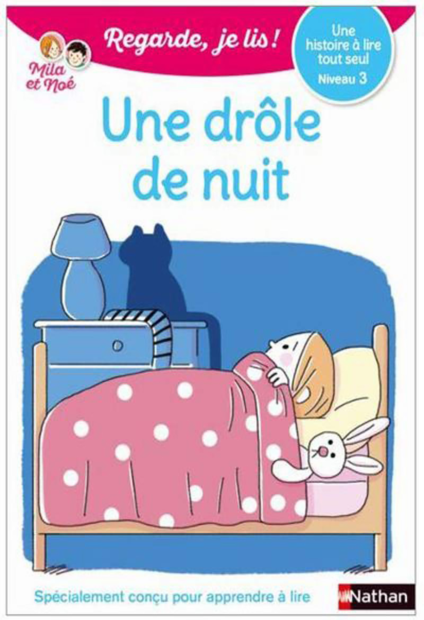 Une Drôle De nuit - Niv 1 - Regarde Je Lis!