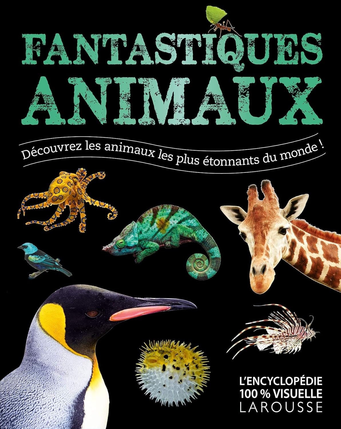 Larousse Fantastiques Animaux