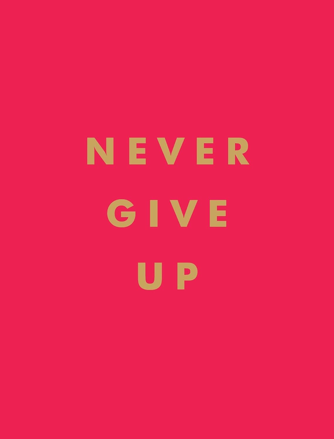 Never Give Up - Inspirational Quotes For Instant Motivation