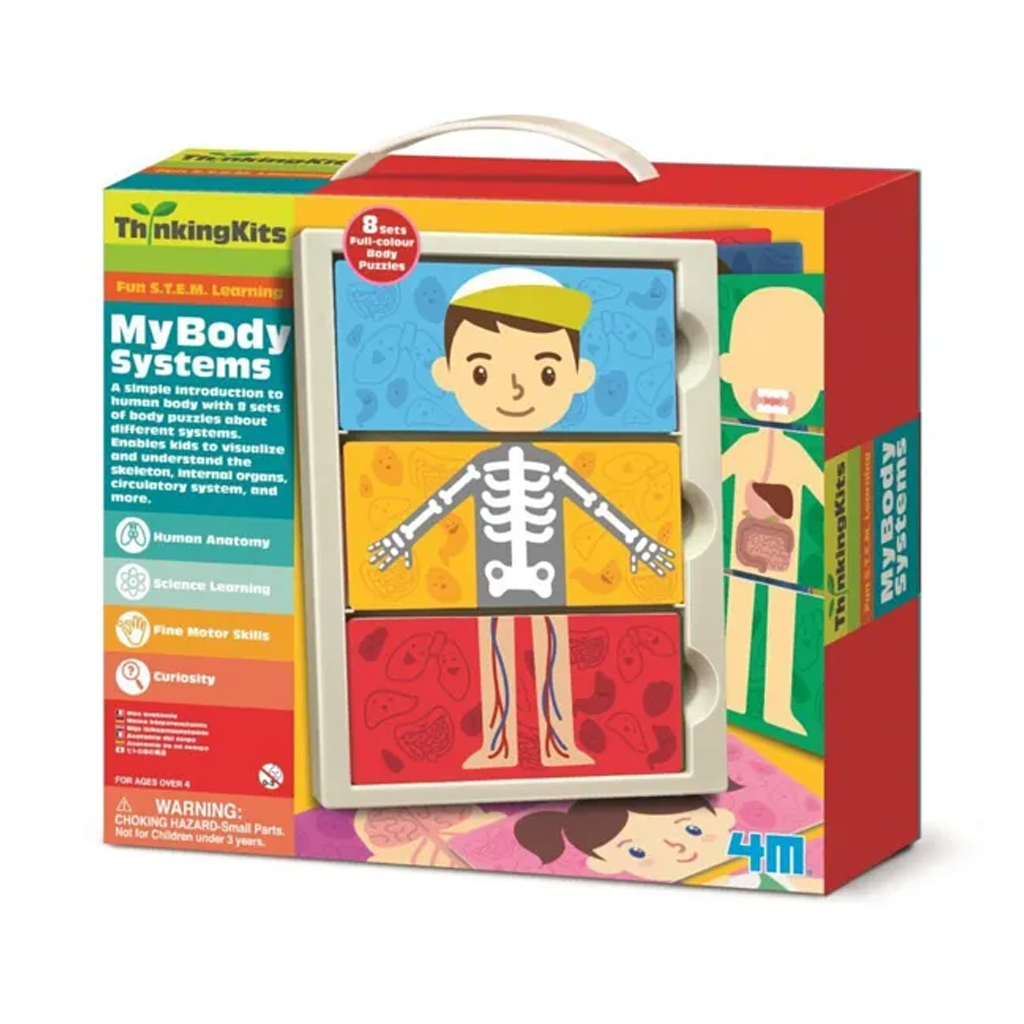 My Body Systems 4M-4692