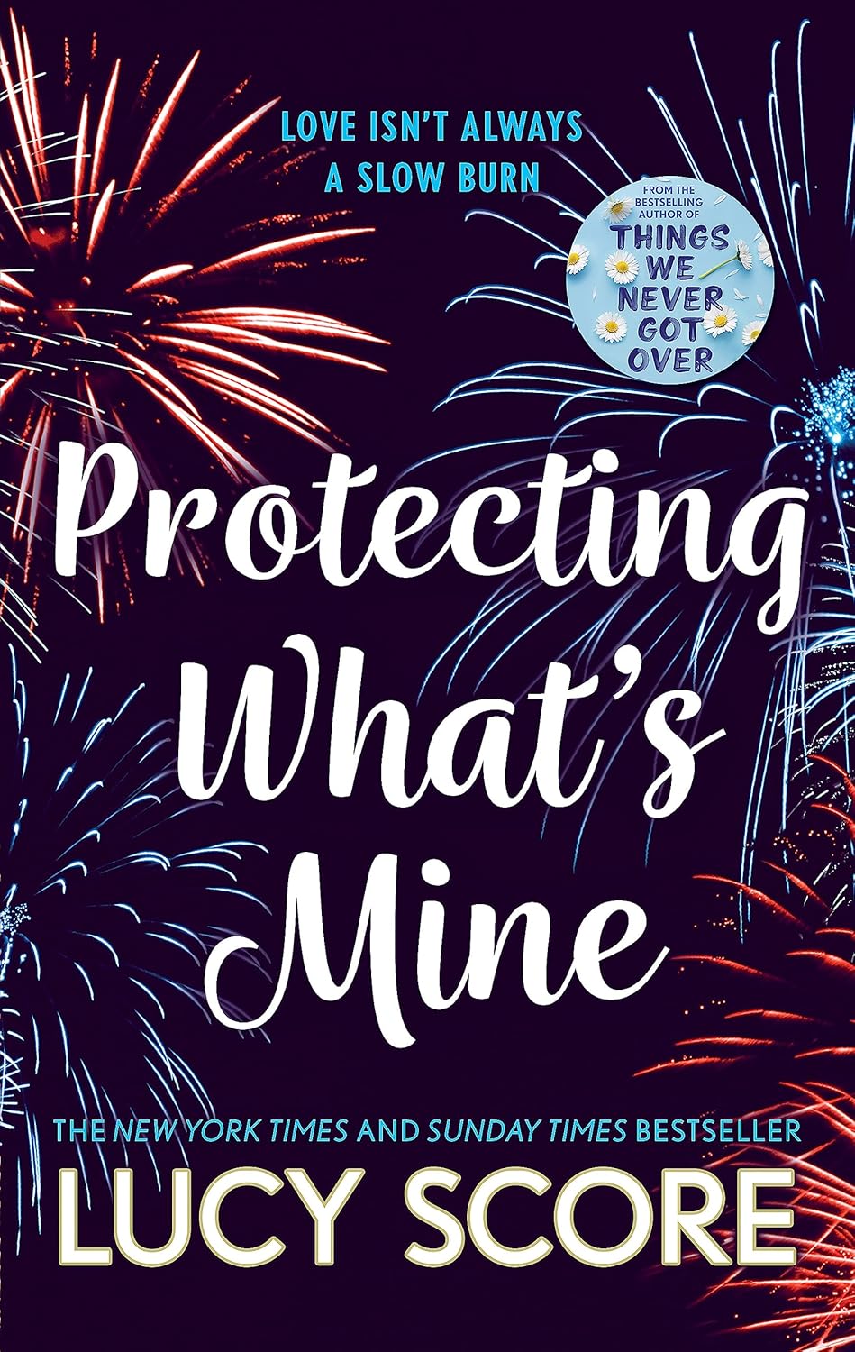 Protecting What’s Mine #3 - Lucy Score