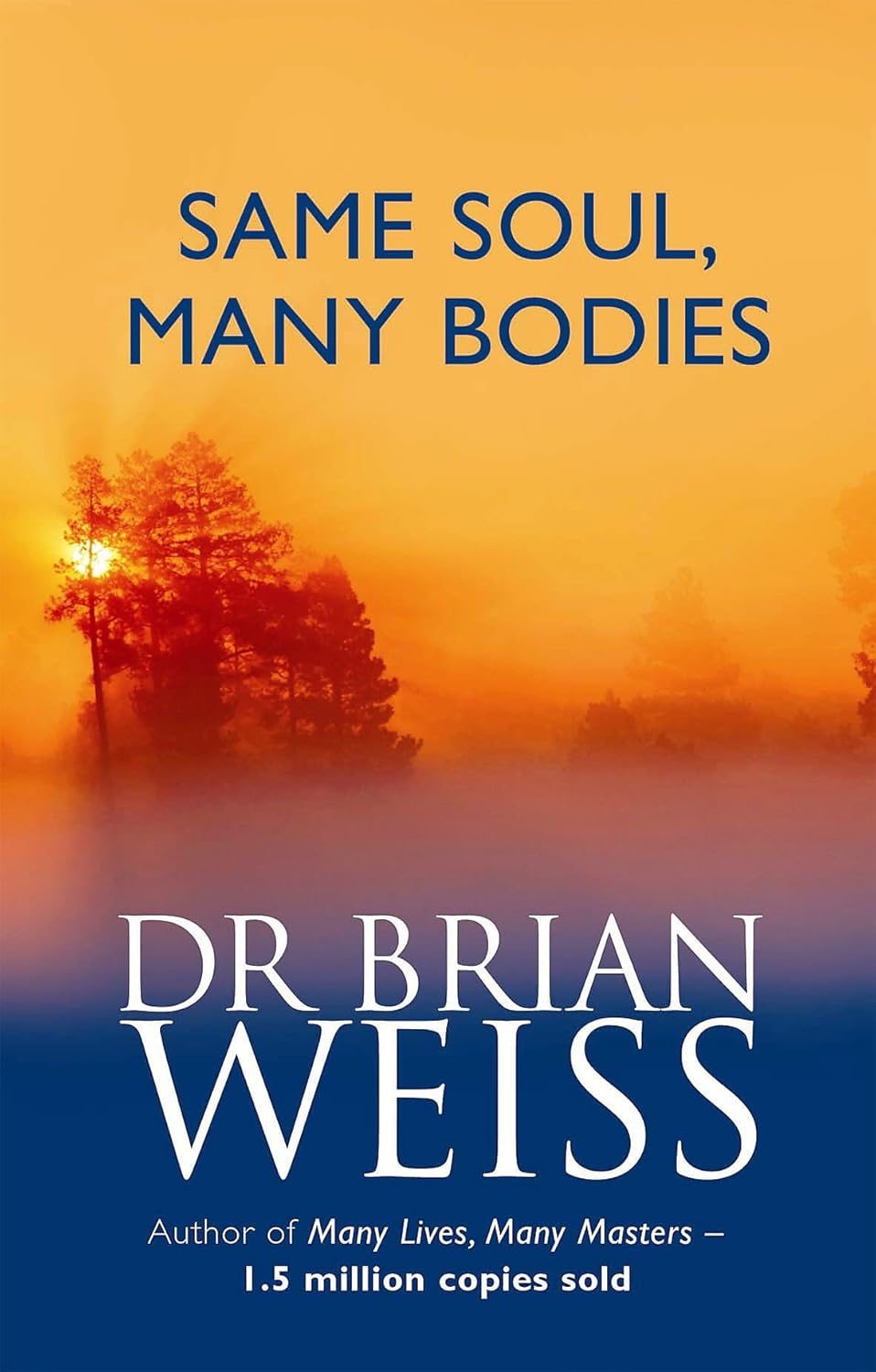 Same Soul Many Bodies -  Dr. Brian Weiss