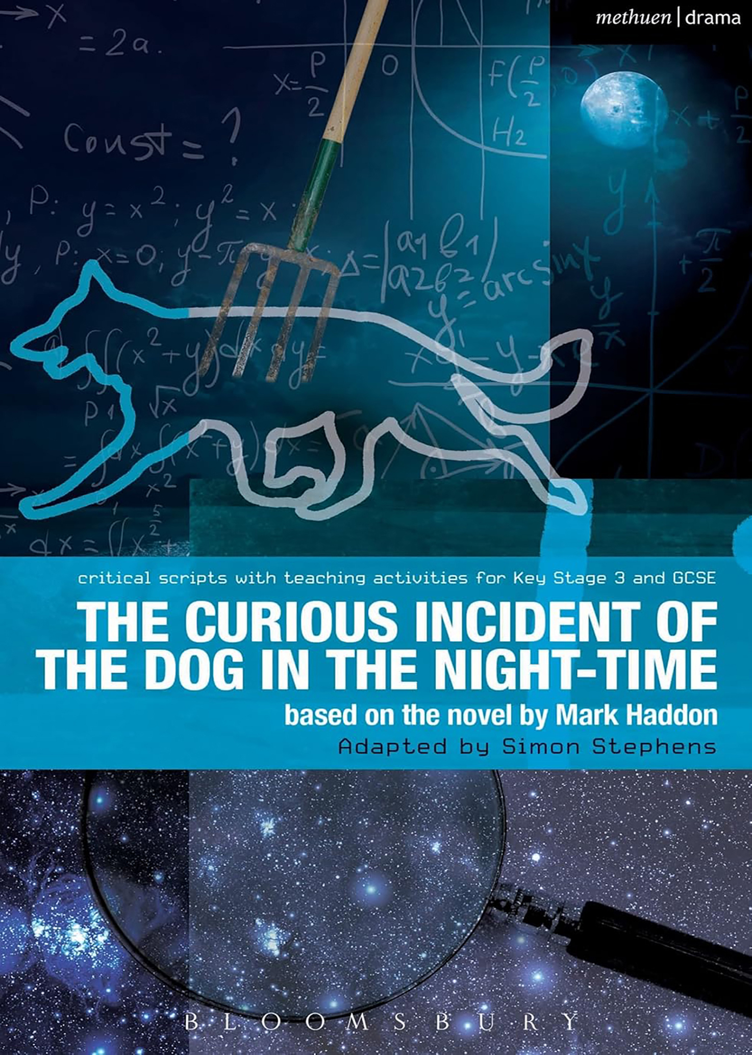 The CURIOUS INCIDENT OF THE DOG IN THE NIGHT TIME (EDN)