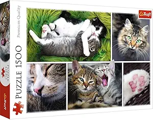 Puzzles -  1500  - Just cat things - collage   500 px