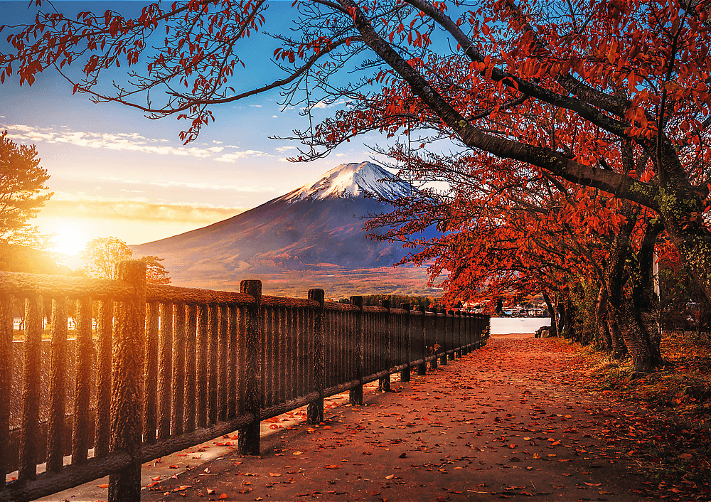 Puzzles 1000pcs Premium Plus Photo Odyssey Mount Fuji Japan Trefl 10817