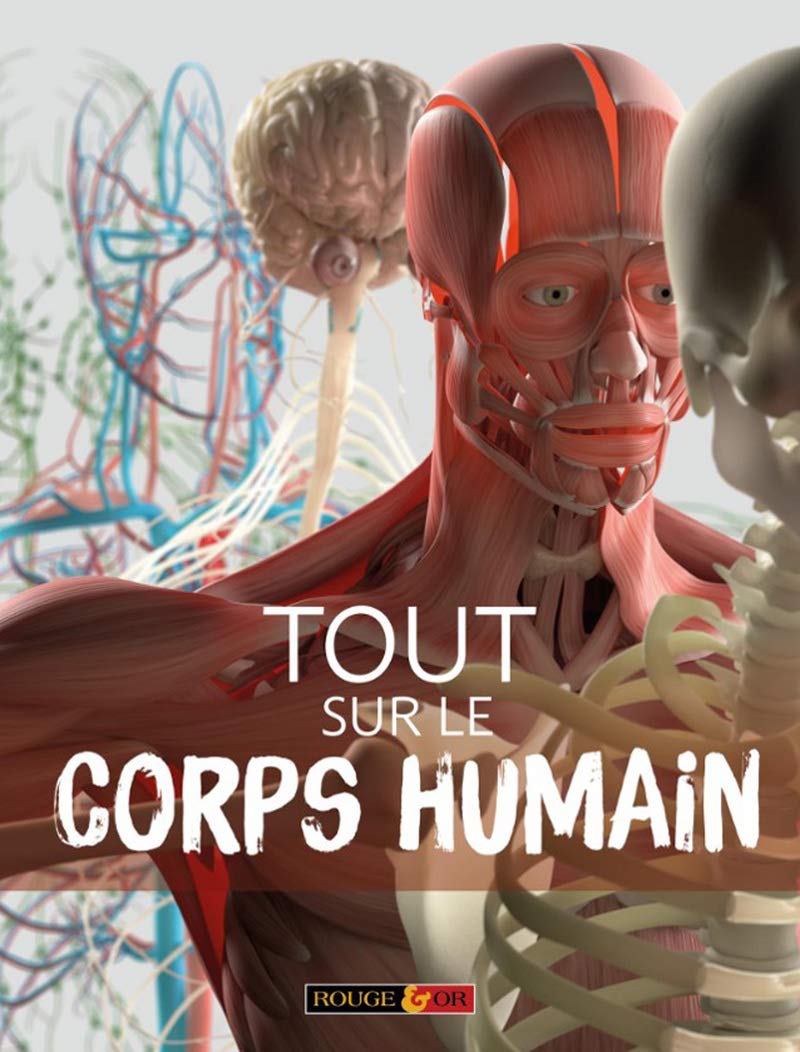 Tout Sur Le Corps Humain - Encyclopédie