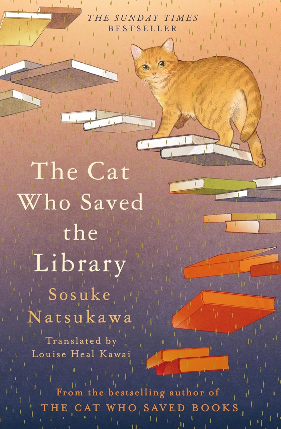 The Cat Who Saved The Library - Natsukawa Sosuke