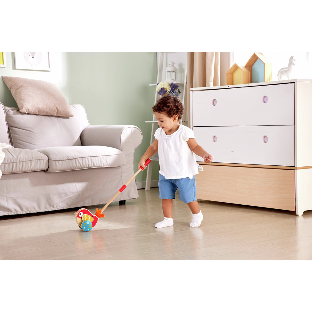 Lilly Musical Push Along HAPE 0353