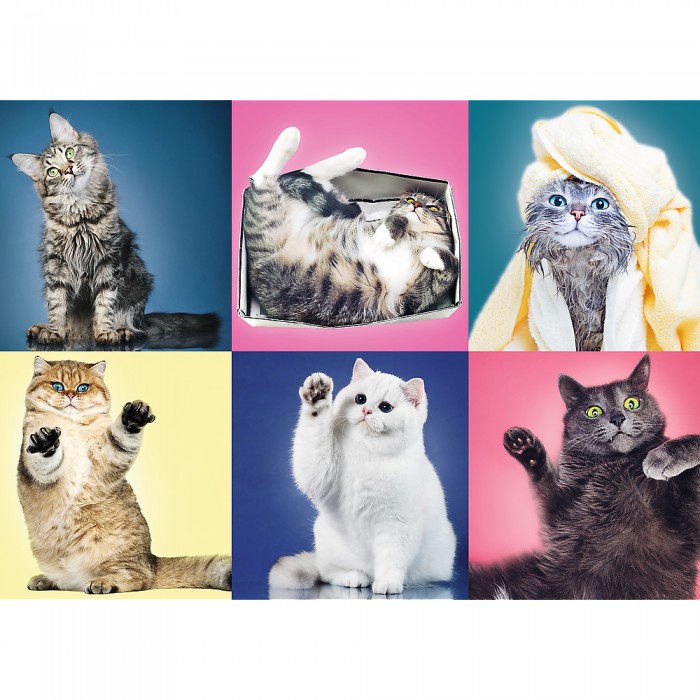 Puzzles 500  Kittens 37377