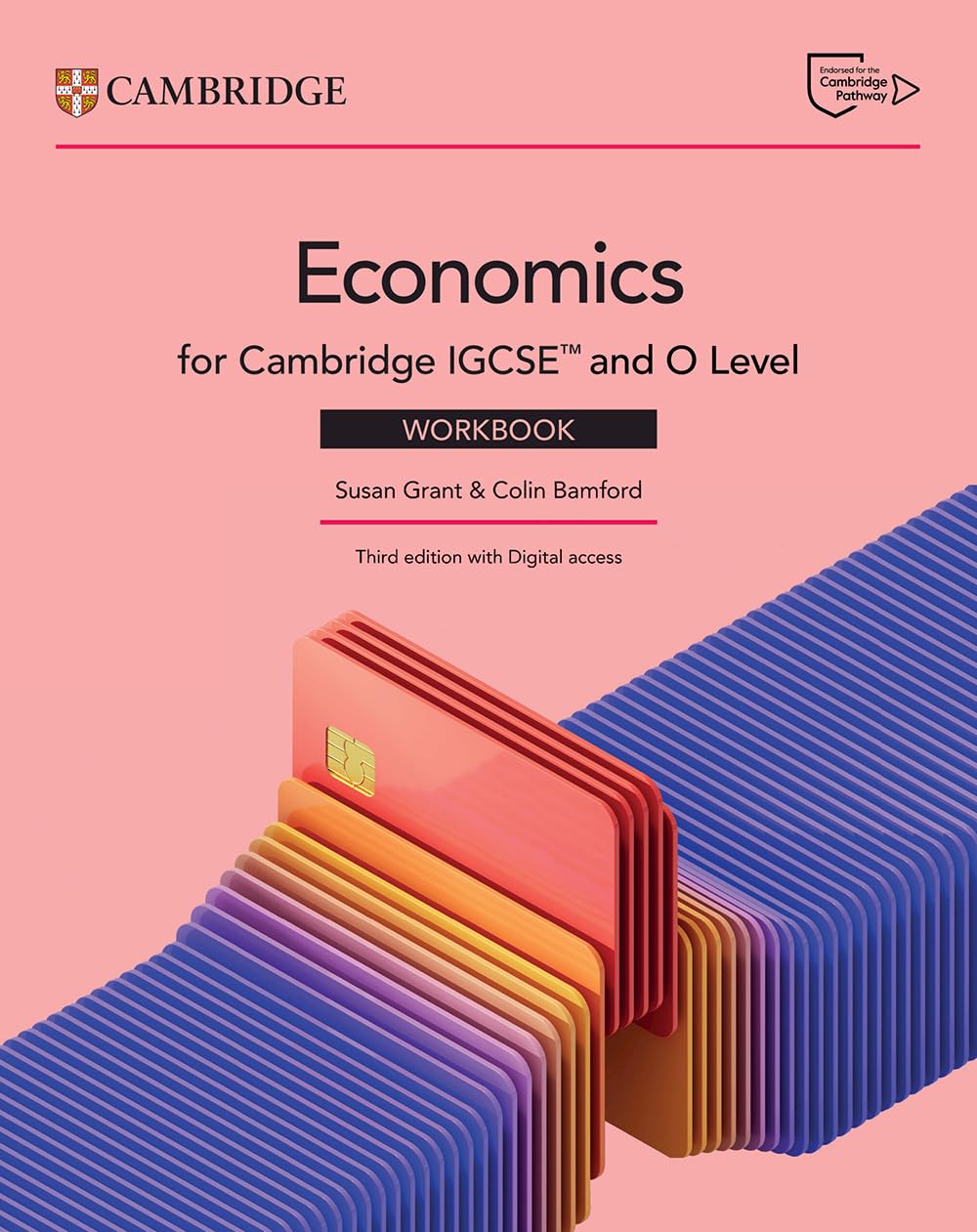 Cambridge IGCSE and O Level Economics Workbook with Digital Access by Susan Grant