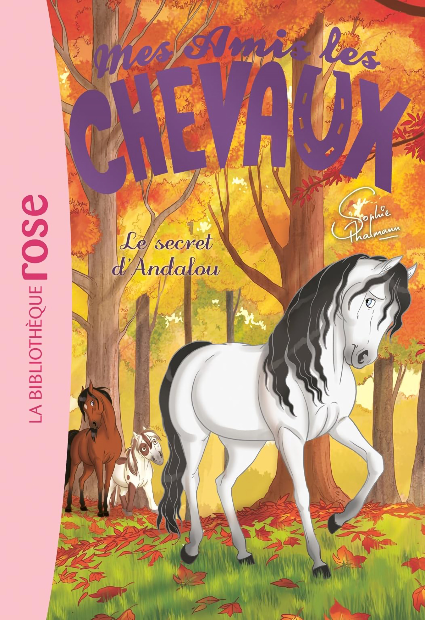 Le Secret D'Andalou - Mes Amis Les Chevaux #19