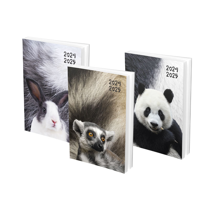 Agenda Print 12x17 1JP 288PGS 26-27 Assorted Ref 5940