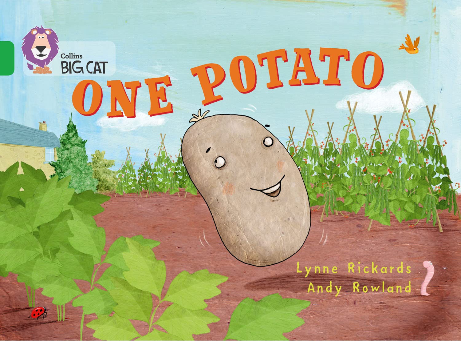 Big Cat One Potato