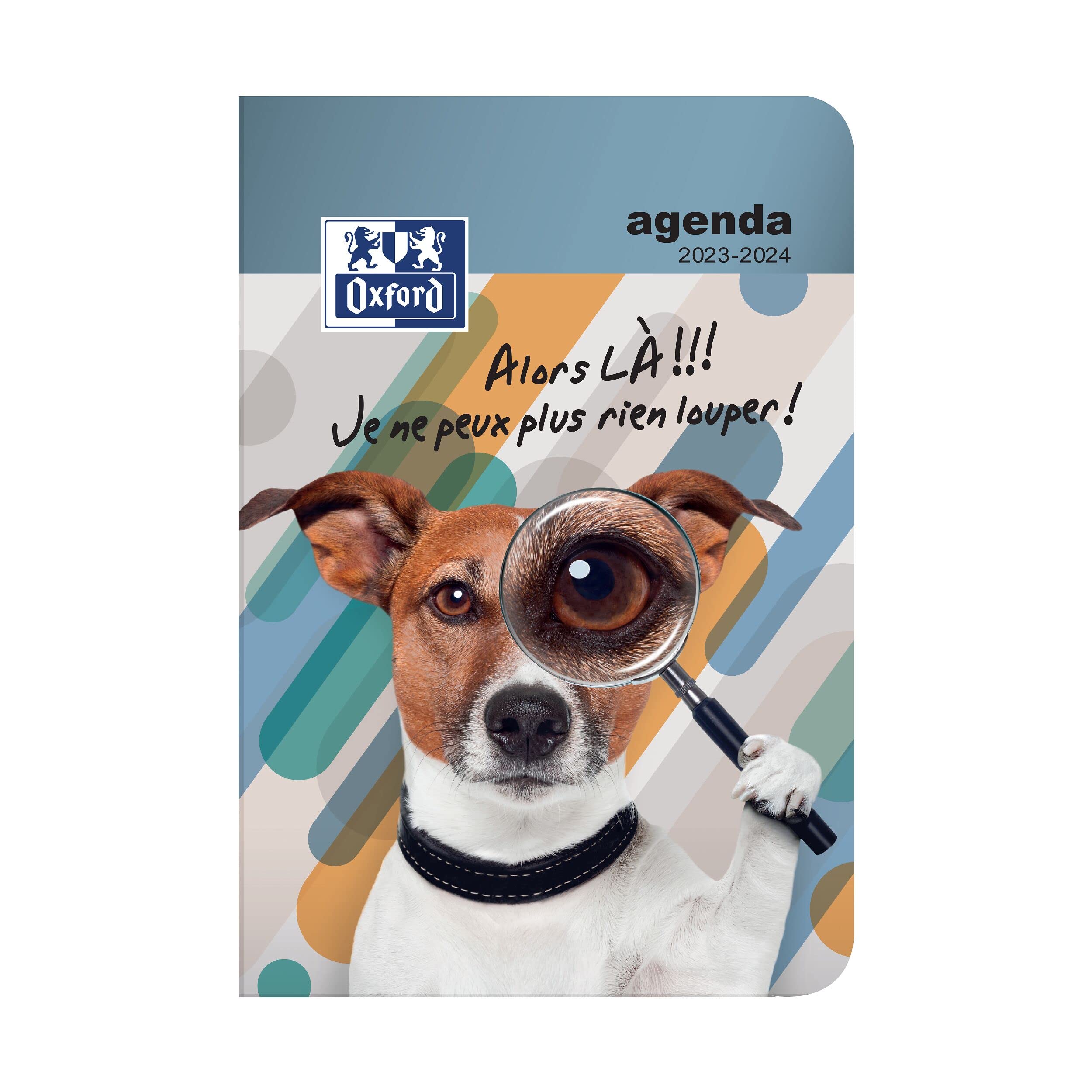 Agenda Oxford Funny 12x18 1JP 16-17 Ref 946102