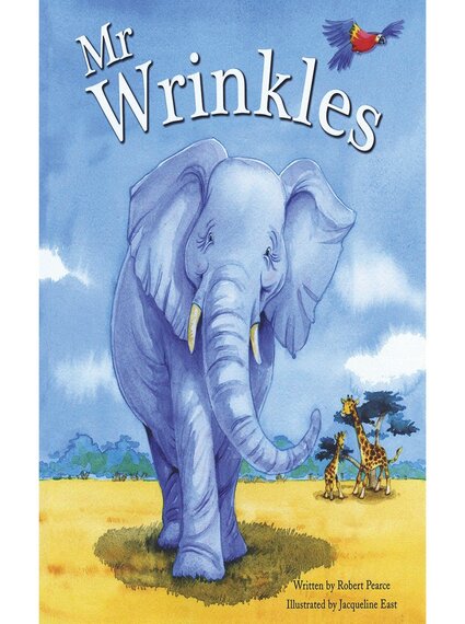 MR WRINKLES