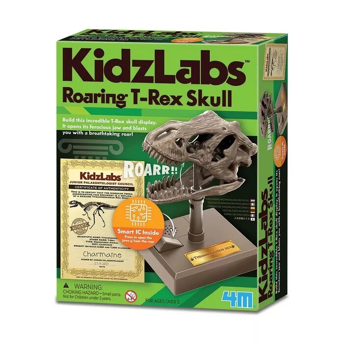KidzLabs/Dino Skull