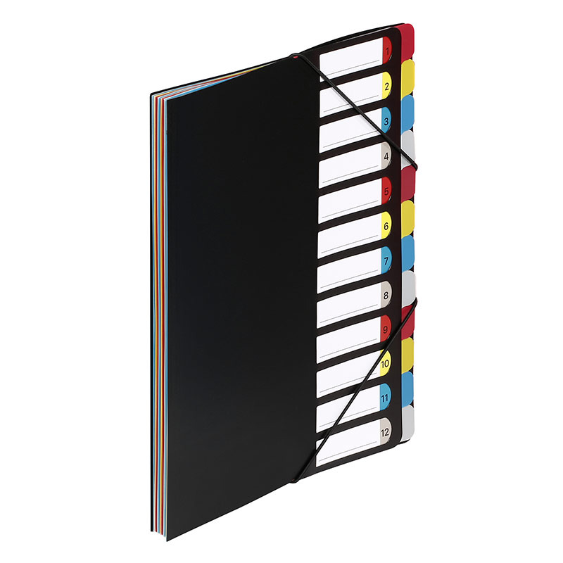 Trieur Extensible 12 Compartiments A4 Noir Polypropylene - ESSENTIEL VIQUEL 198805