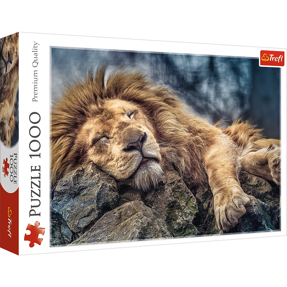 Puzzles -  1000  - Sleeping lion   500 px