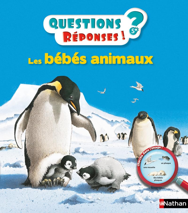 Les Bébés Animaux - Questions Réponses