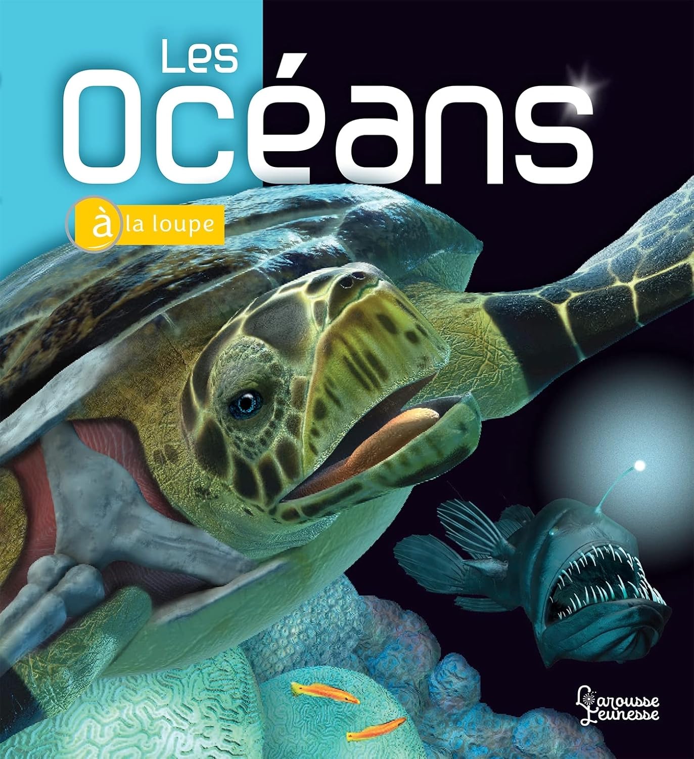 Les Océans - À La Loupe