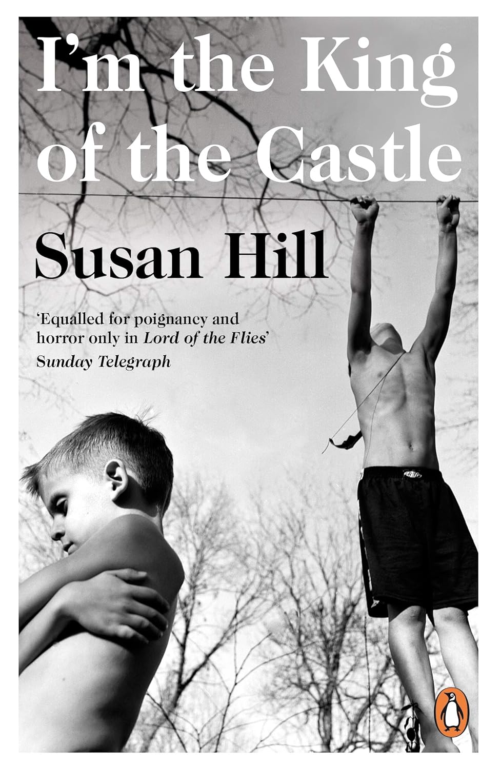 I’m the King of the Castle - Susan Hill