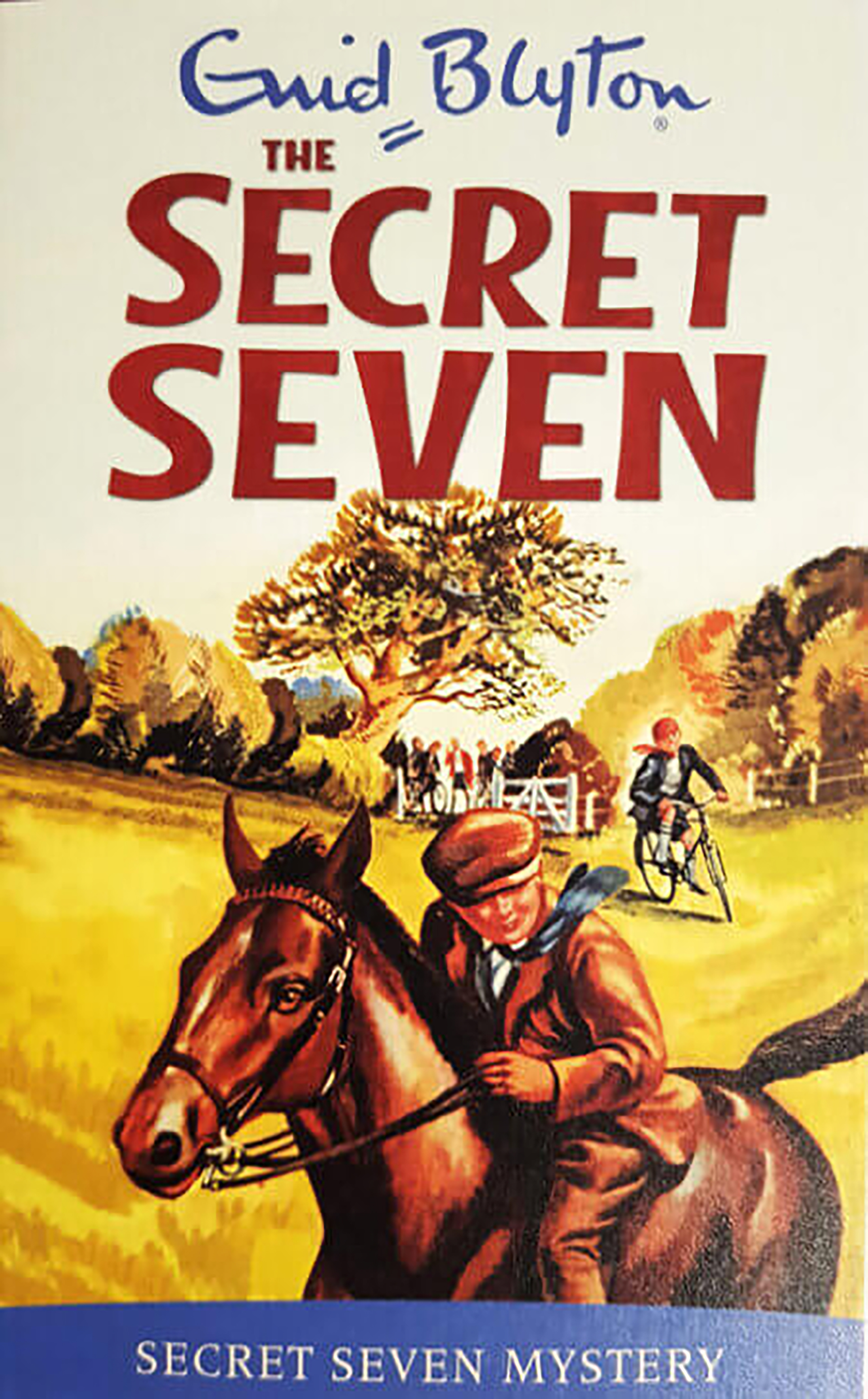 9 | Secret Seven Mystery  - THE SECRET SEVEN - Enid Blyton