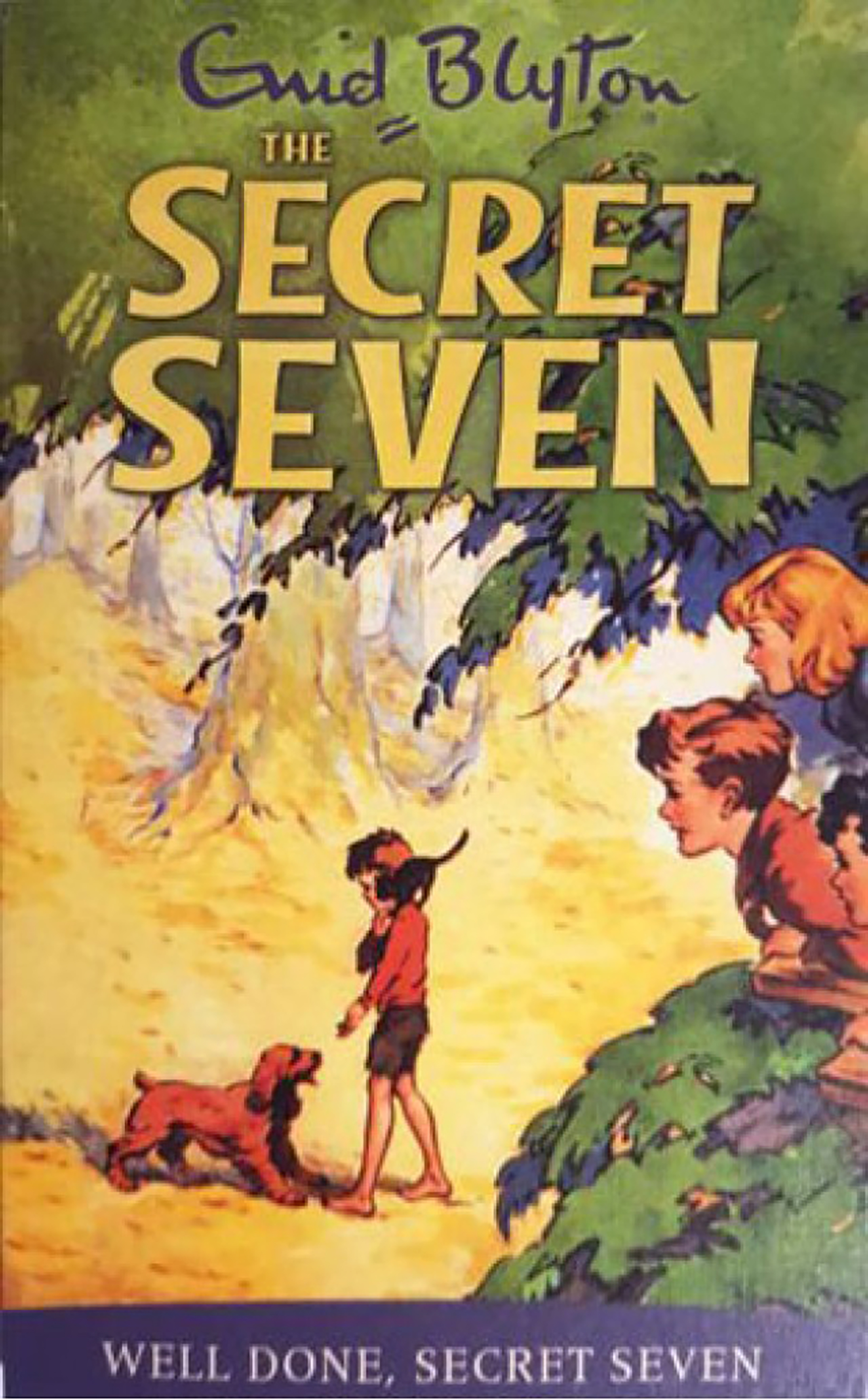 3 | Well Done Secret Seven - THE SECRET SEVEN - Enid Blyton