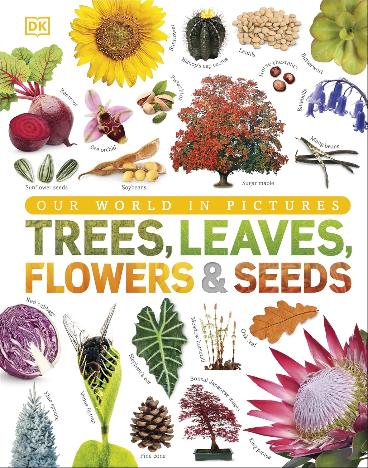 Trees Leaves Flowers & Seeds - Our World In Pictures