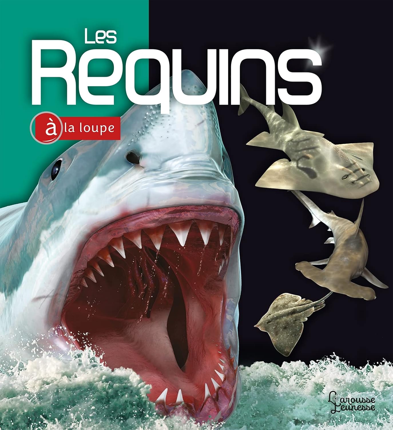 Les Requins - À La Loupe