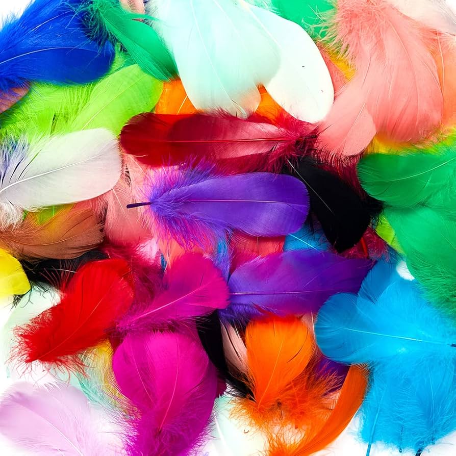 Feathers Pack of 20