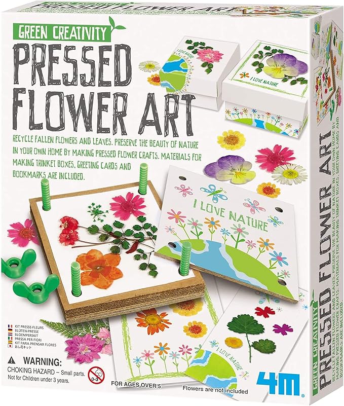 Pressed Flower Art 4M 4567