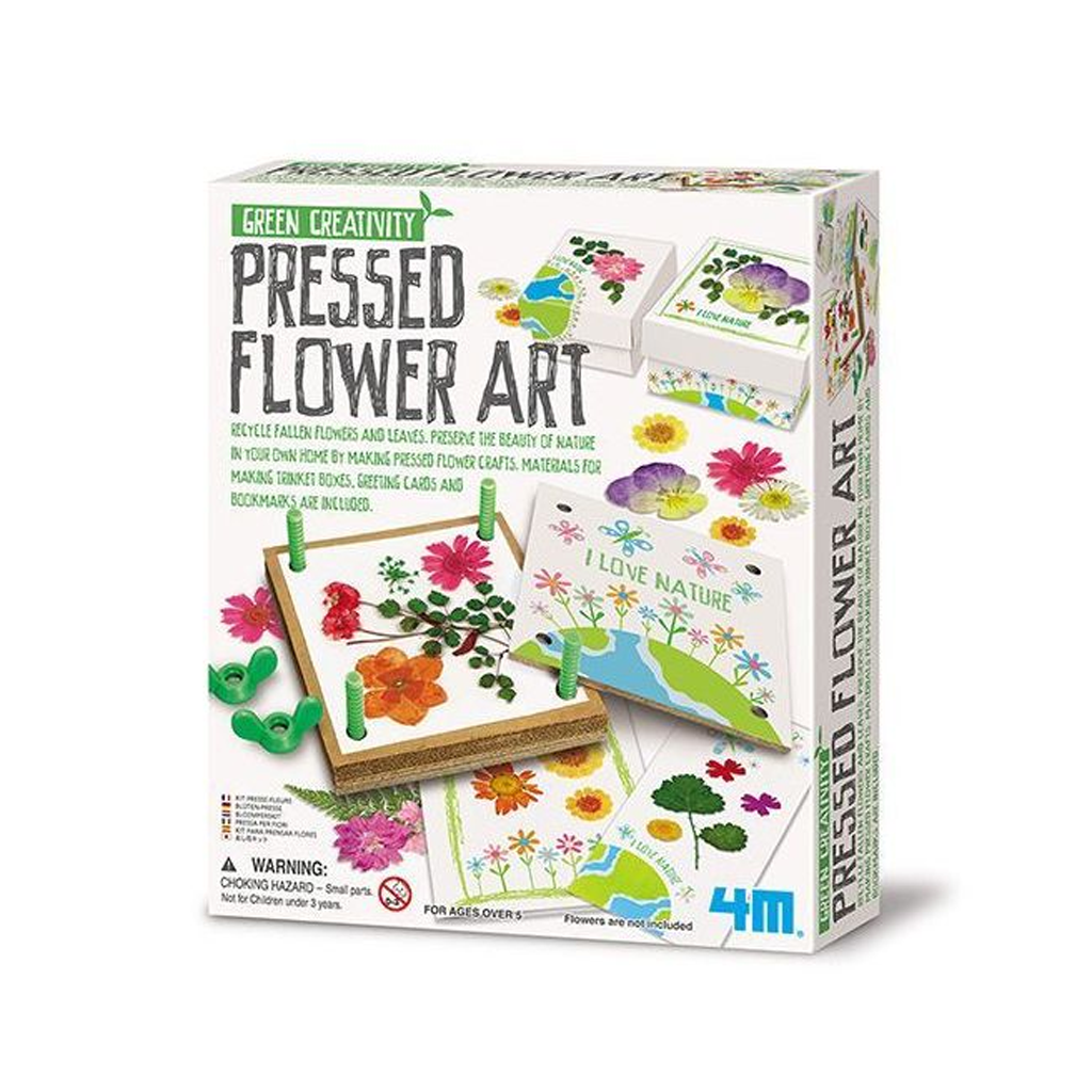 Pressed Flower Art 4M 4567