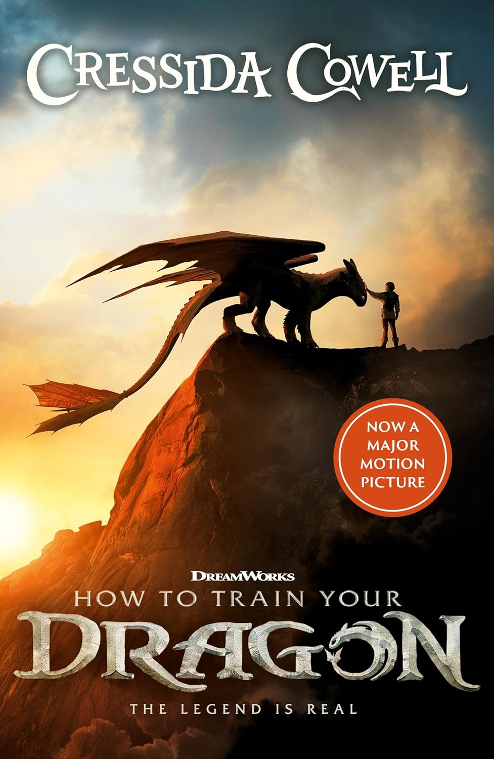 How To Train Your Dragon #1