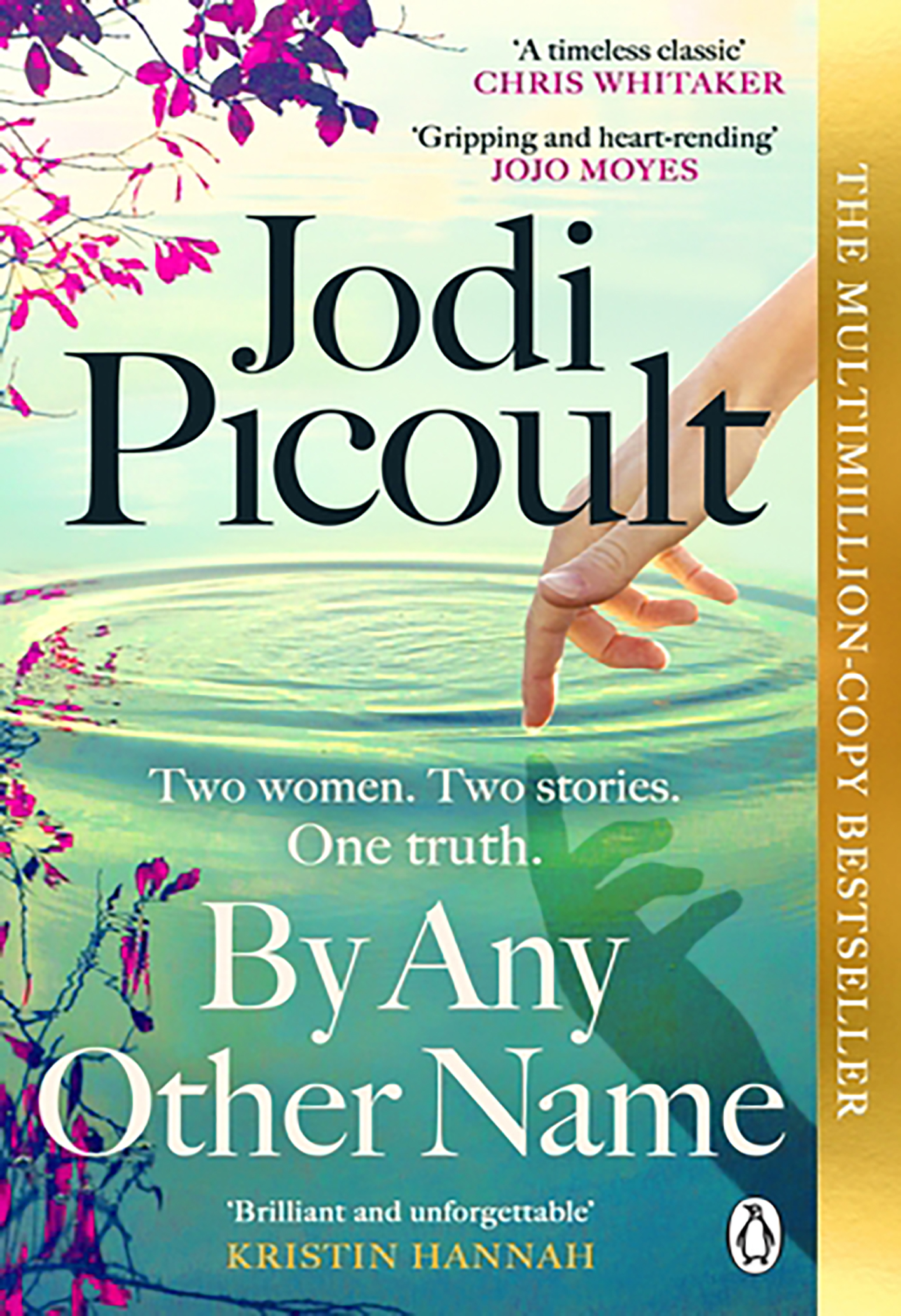 By Any Other Name- Jodi Picoult