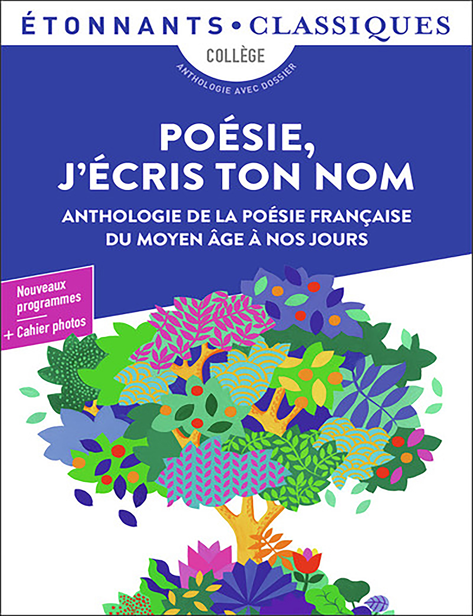 Poesie J'ecris Ton Nom - 6eme (introduction a la Poesie)