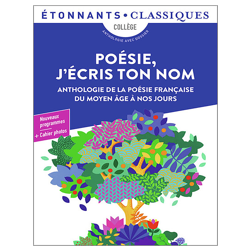Poesie J'ecris Ton Nom - 6eme (introduction a la Poesie)