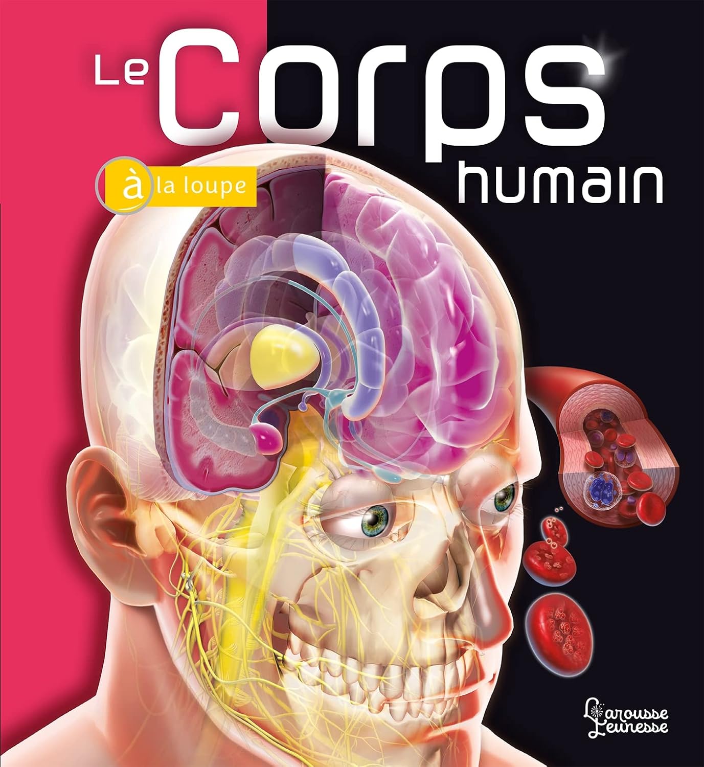 Le Corps Humain - À La Loupe