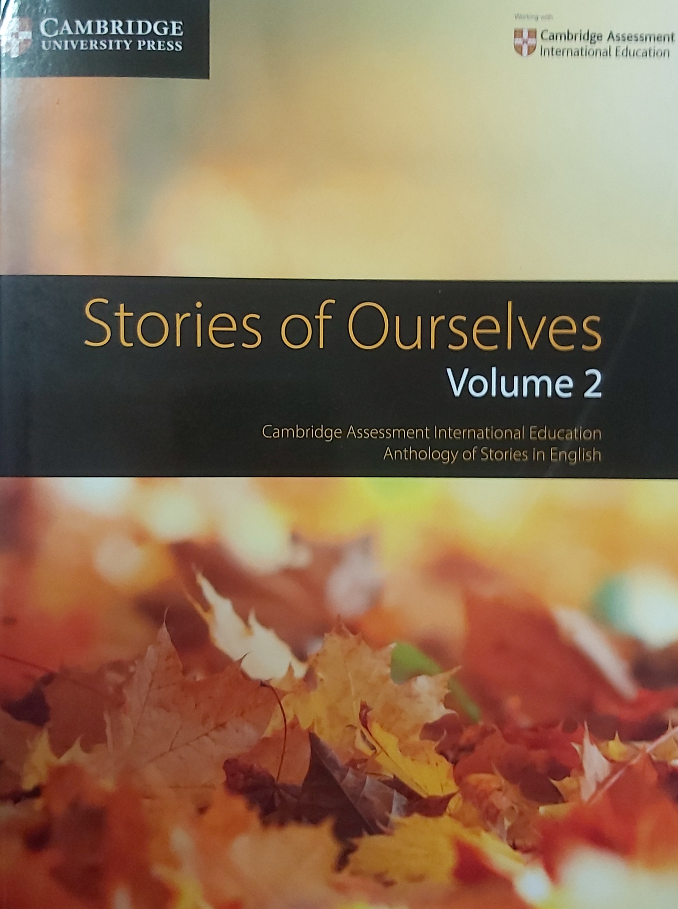 CUP - STORIES OF OURSELVES  VOLUME 2 - MARY WILMER