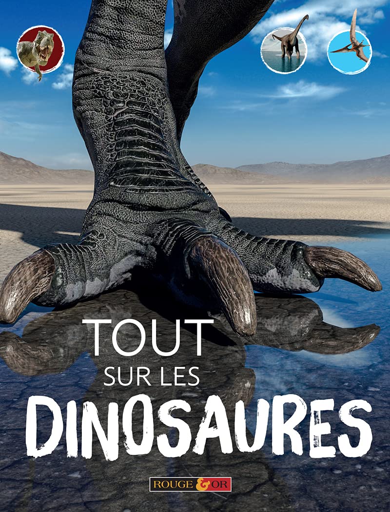 Tout Sur Les Dinosaures - Encyclopédie