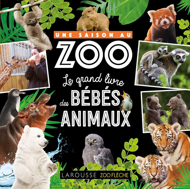 Le Grand Livre Des Bébés Animaux - Une Saison Au Zoo - Larousse