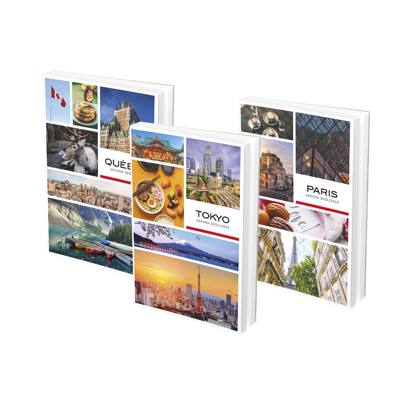 Agenda Pays 12x17 1JP 288PGS 26-27 Assorted Ref 0899