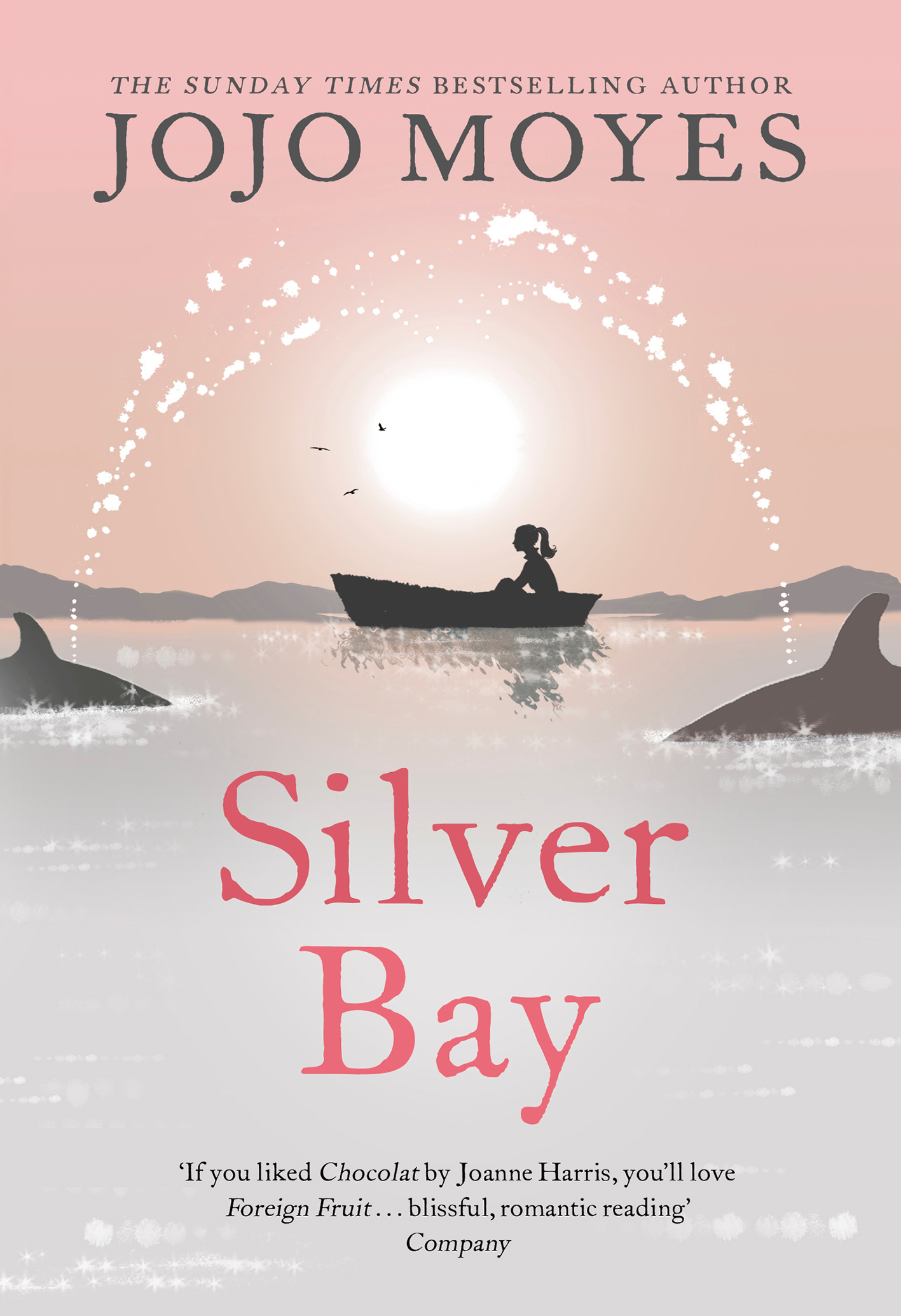Silver Bay (Hodder)