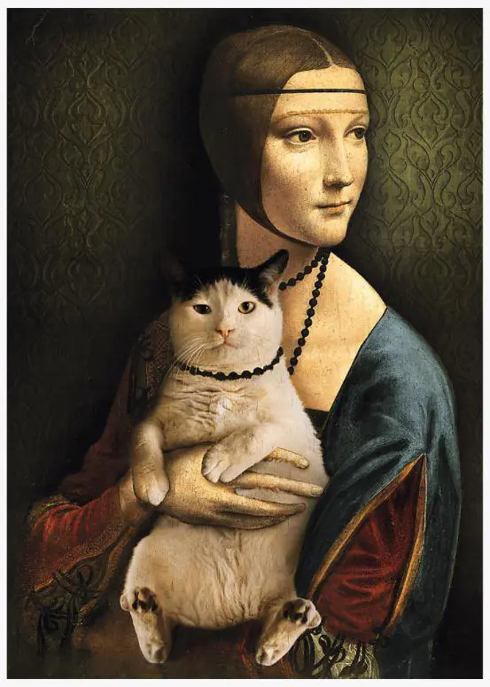 Puzzles -  1000  - Lady with a cat