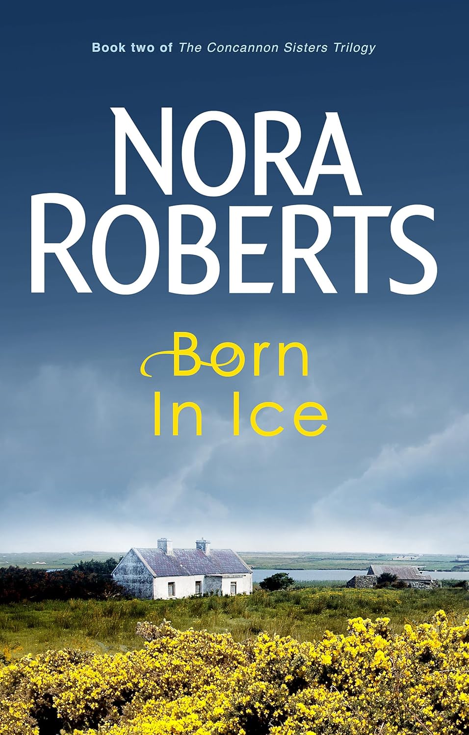 Born In Ice - Nora Roberts