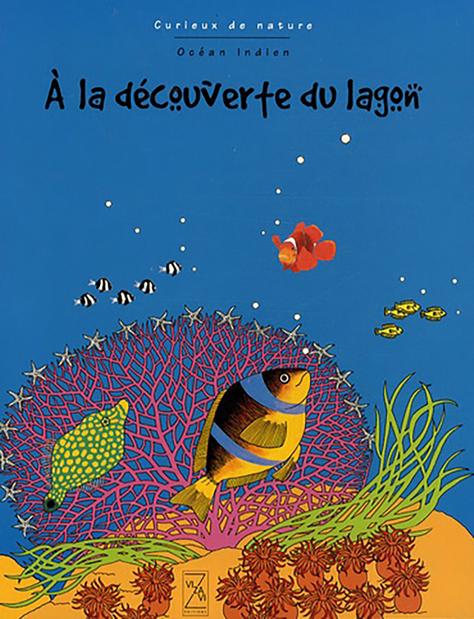 A LA DECOUVERTE DU LAGON