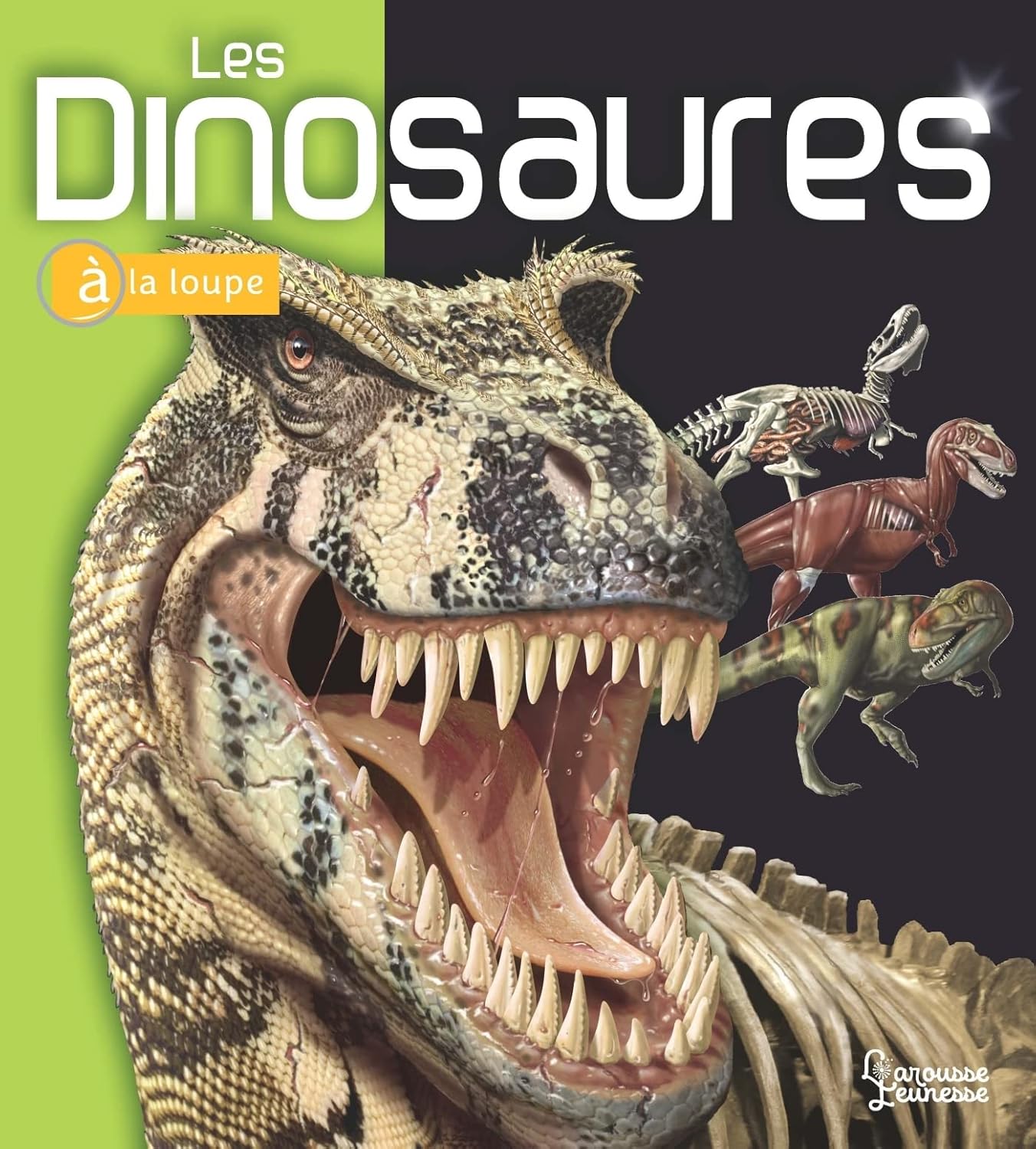 Les Dinosaures -  À La Loupe