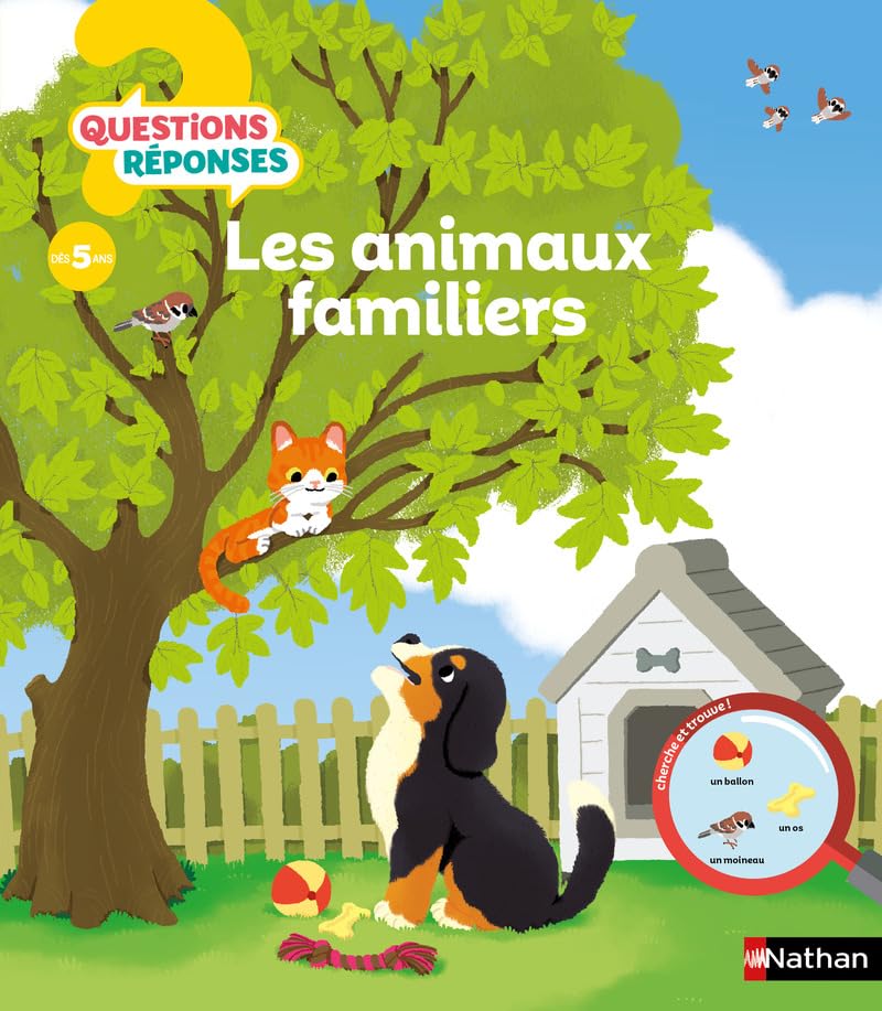 Les Animaux Familiers - Questions Réponses